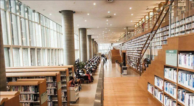 郑州学校图书馆设计打造学校文化宝库